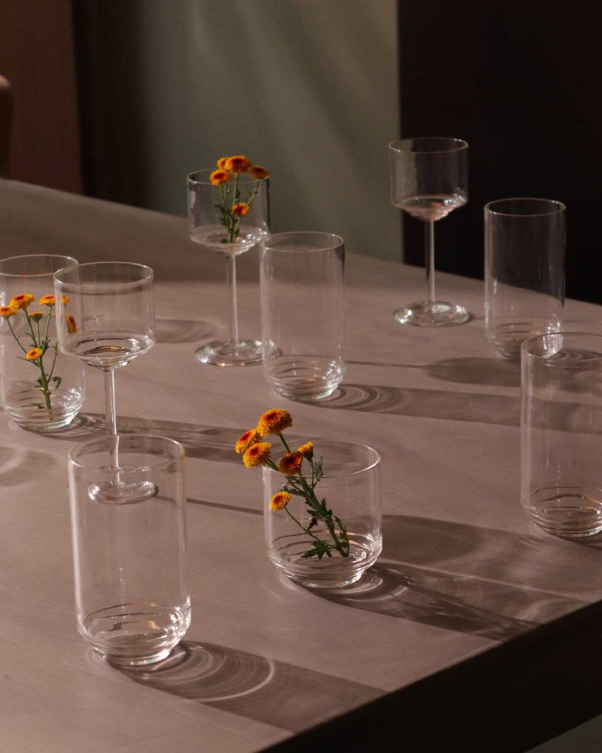 Modern glassware for everyday drinks